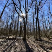 790 Acres in Attala County in Durant  MS images 2