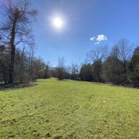 790 Acres in Attala County in Durant  MS images 3