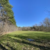 790 Acres in Attala County in Durant  MS images 4