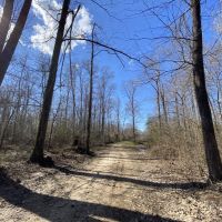 790 Acres in Attala County in Durant  MS images 5