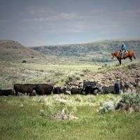 Mountain Views Ranch on the Yellowstone River images 5