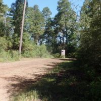 433 ac - Hunting Tract Joining Big Thicket Preserve - PRICE REDUCED images 2