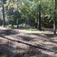 433 ac - Hunting Tract Joining Big Thicket Preserve - PRICE REDUCED images 3