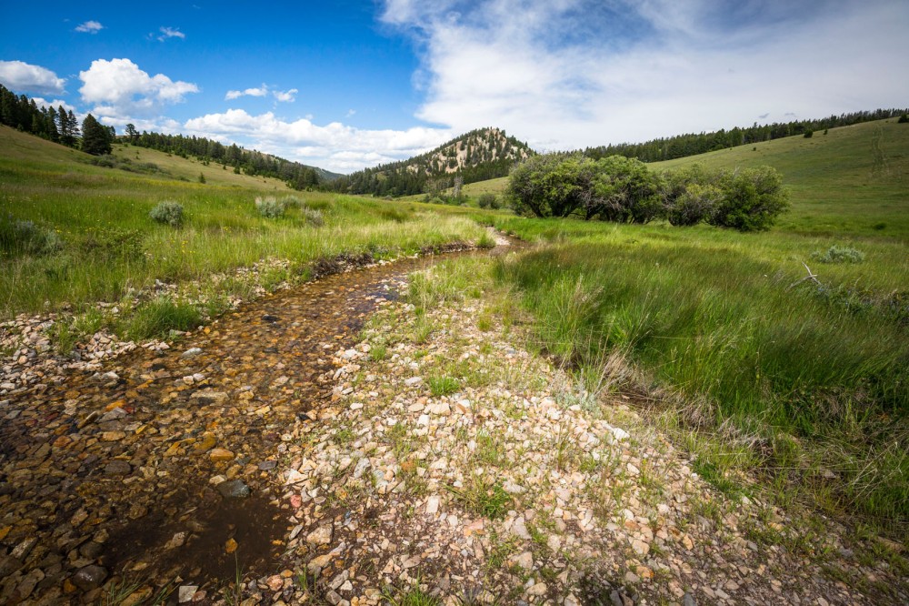 Castle Mountain Homestead featured image