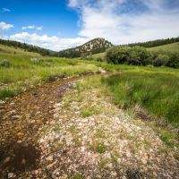 Castle Mountain Homestead