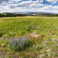 Castle Mountain Homestead images 6
