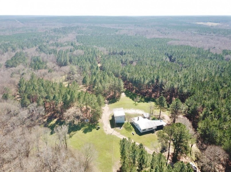816 Acre Hunting Paradise  Camp for Sale Jefferson County MS featured image