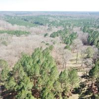 816 Acre Hunting Paradise  Camp for Sale Jefferson County MS images 2