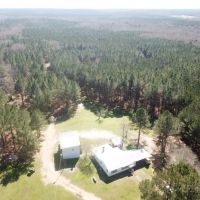 816 Acre Hunting Paradise  Camp for Sale Jefferson County MS images 4
