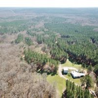 816 Acre Hunting Paradise  Camp for Sale Jefferson County MS images 5