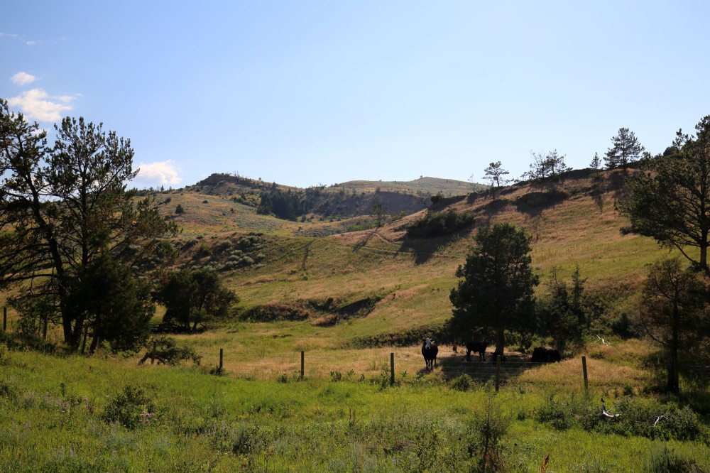 Fleshman Creek 240 featured image
