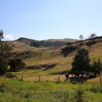 Fleshman Creek 240