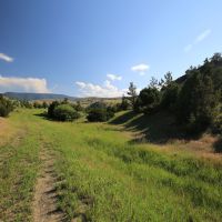 Fleshman Creek 240 images 2