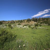 Fleshman Creek 240 images 3