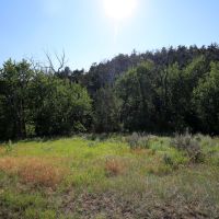Fleshman Creek 240 images 6