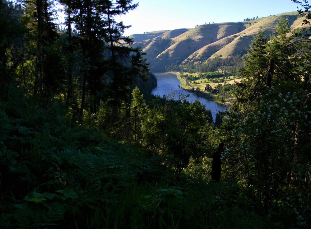 Clearwater River Place featured image