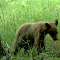 Clearwater River Place images 6