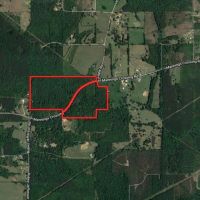 97.95 Acres in Walthall County in Jayess  MS images 4