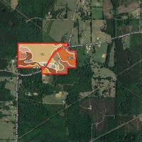 97.95 Acres in Walthall County in Jayess  MS images 6