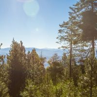 Luce Creek images 3