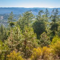 Luce Creek images 4