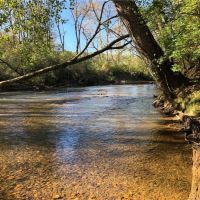 Live Water Hunting &nbsp; Recreational Ranch For Sale in Pickens County  GA