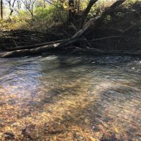 Live Water Hunting &nbsp; Recreational Ranch For Sale in Pickens County  GA images 2