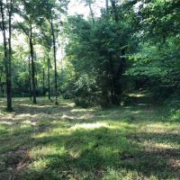 Live Water Hunting &nbsp; Recreational Ranch For Sale in Pickens County  GA images 6