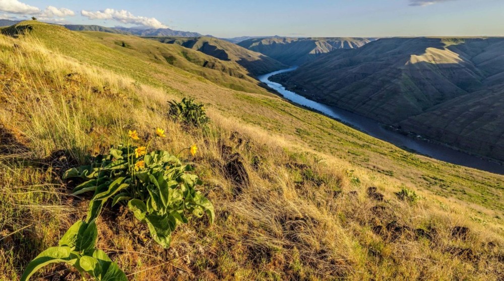 Ten Mile Creek Ranch featured image