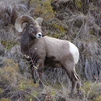 Ten Mile Creek Ranch images 4
