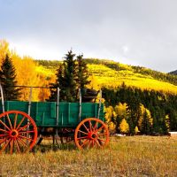 Lake Fork River Ranch images 2
