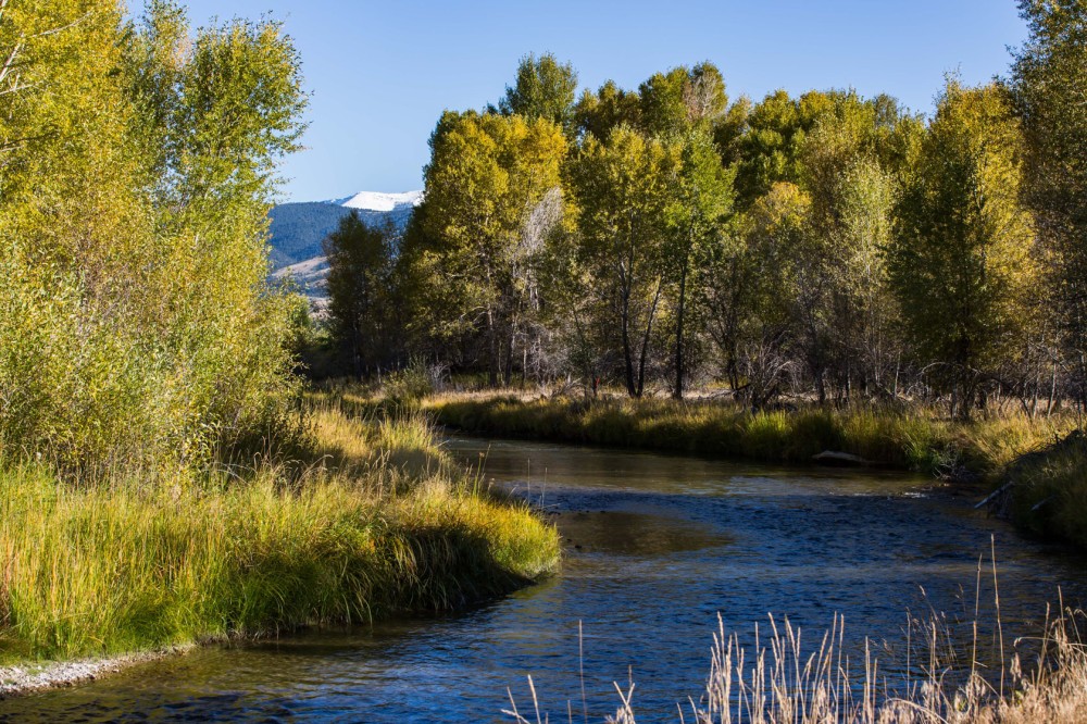 Miller Ranch on the Ruby River featured image