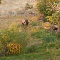 Highland Mountain Ranch images 3