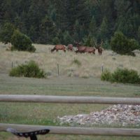 Highland Mountain Ranch images 4