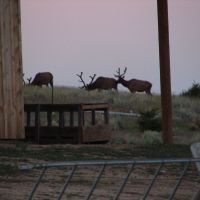 Highland Mountain Ranch images 5