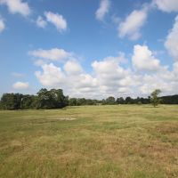 Calfee Ranch images 5
