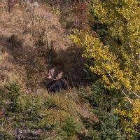 Trail Creek 160-West images 3