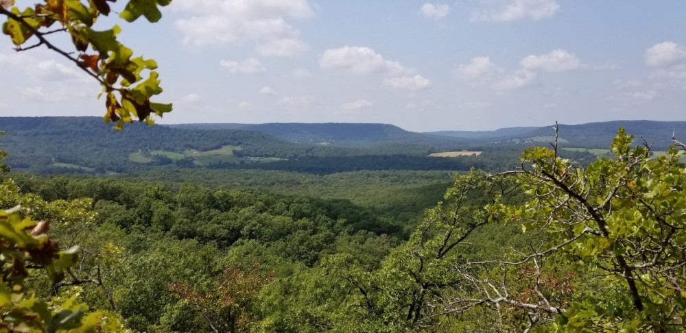 Trophy Hunting &nbsp; Recreational Land For Sale in Carroll Boone County  AR featured image