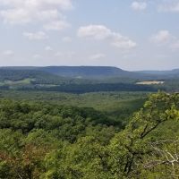 Trophy Hunting &nbsp; Recreational Land For Sale in Carroll Boone County  AR