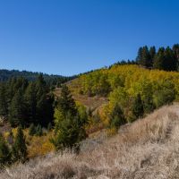 Trail Creek 160-East images 2