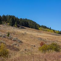 Trail Creek 160-East images 6