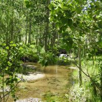 Champagne Creek Ranch images 4