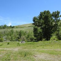Champagne Creek Ranch images 5