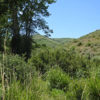 Champagne Creek Ranch images 6