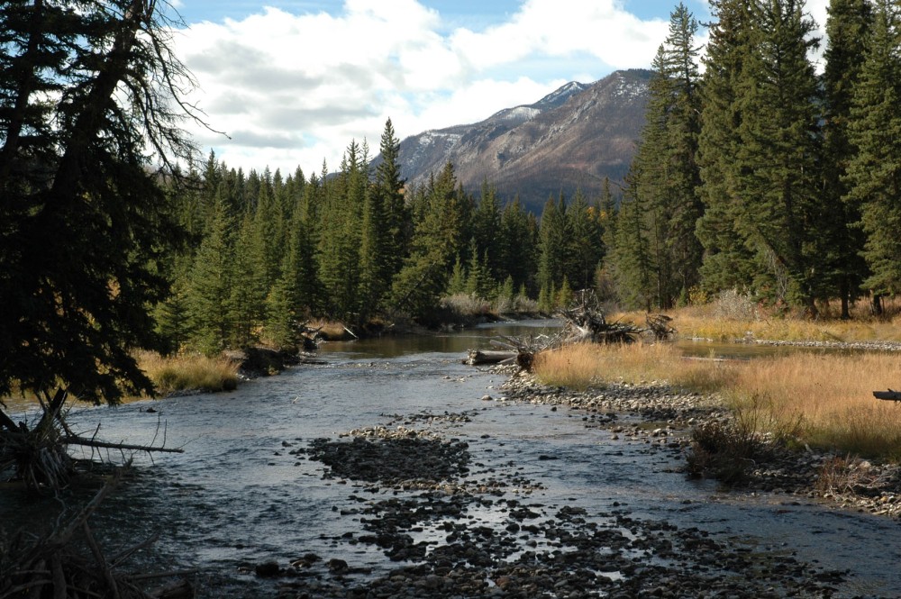 West Boulder Angling Retreat featured image