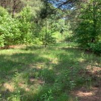 60 Acres in Lincoln County in Bogue Chitto  MS