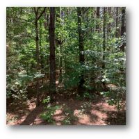 60 Acres in Lincoln County in Bogue Chitto  MS images 6
