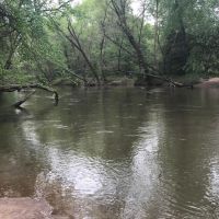 2 300  Ft. of Alcovy River Frontage