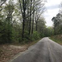 2 300  Ft. of Alcovy River Frontage images 4