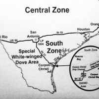 Dove Hunting In South Texas